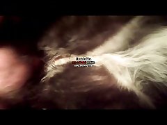 Man Fuck Dog Zoo Porn