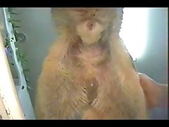 Zoofilia Anal Con Perros