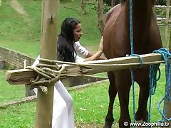 Gay Porn Dog Fucks Man