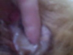 Horse Gimp Porn