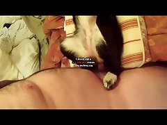 Breastfeeding Dog Porn