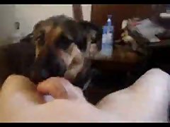 Man Having Sex With Female Animal