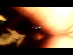 Man Fucking Dog Zoo Porn