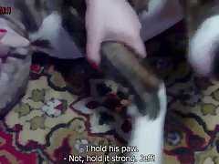 Horse Cum Porn Gif