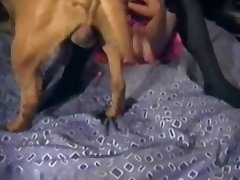 Tranny Animal Sex