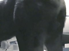 Furry Gay Horse Porn