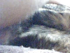 Dog Suck Man Dick Porn