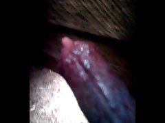 Ai Furry Porn Horse