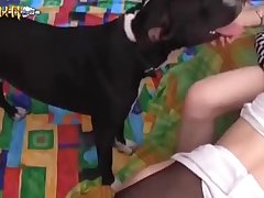 Girl Rides Dog Cock Porn