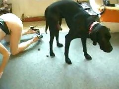 Ai Furry Dog Porn