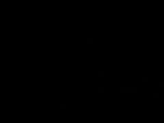 Dog Sex Porn Compilation