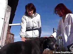 Zoo Porn Forced