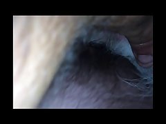 Horse Dildo Machine Porn