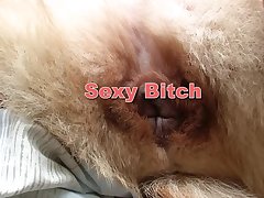 Ai Dog Girl Porn
