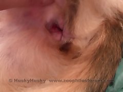 Ai Dog Girl Porn