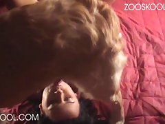 Tumblr Gay Dog Fuck