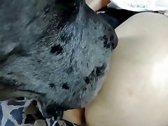 Brazilian Girls Fuck Dog