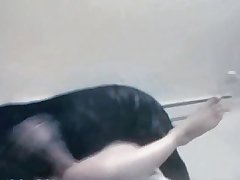 Marcia Fuck Dog
