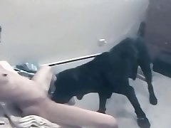 Marcia Fuck Dog