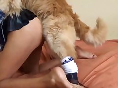 Xnxx Fuck By Dog