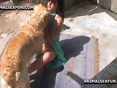 Dog Cock Dildo Fuck