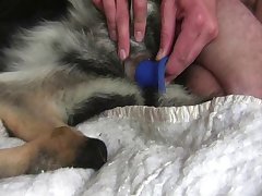 Xxx Videos De Zoofilia