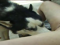 Sex Toys Animal