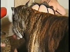 Latina Fuck Dog Porn