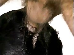 Dog Makeout Porn