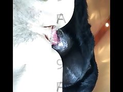 Porn Cum Horse