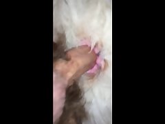 Dark Horse Pmv Porn