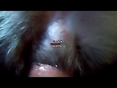Girl Fucked By Her Dog Porn