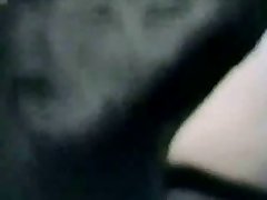 Porno Zoofilia Alison