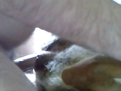 Lady Fucks Horse Porn