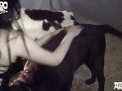 Having Sex With Stuffed Animal