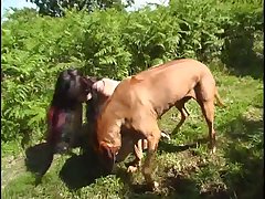 Man Pounding Dog Porn