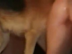 Man Having Sex With A Dog Porn