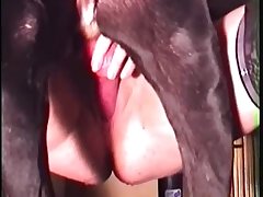 Porn Woman Fucks Horse