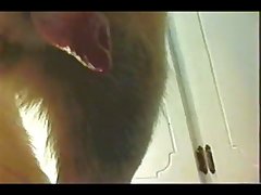 Zoofilia Com Galinha