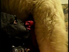 Dog Porn Lucky