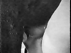 Vintage Horse Porn