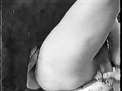 Vintage Horse Porn