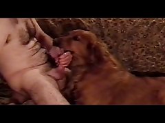 Man Brutally Fucks Dog Porn