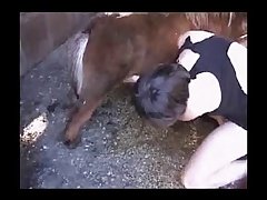 My Horse Porn