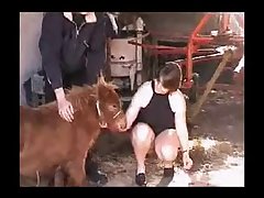 My Horse Porn