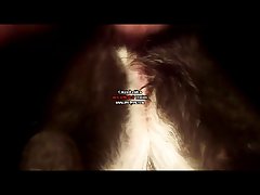 Dog Porn Man Fucks Dog