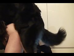 Nana Dog Porn