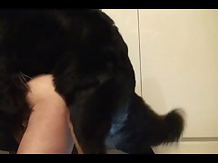 Nana Dog Porn