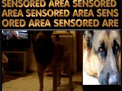 Dog Licking Tits Porn