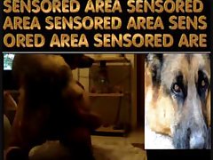 Dog Licking Tits Porn